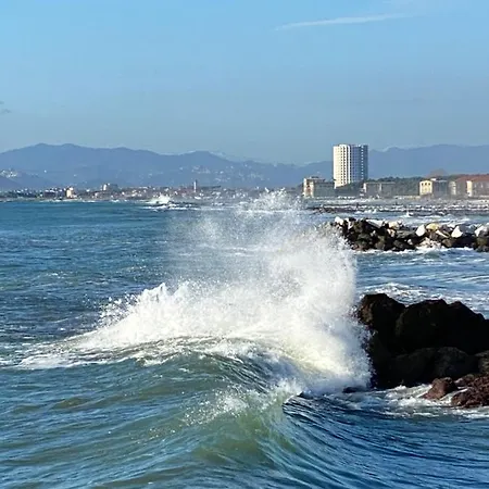 Ancora Bilocale Holiday home Marina di Massa