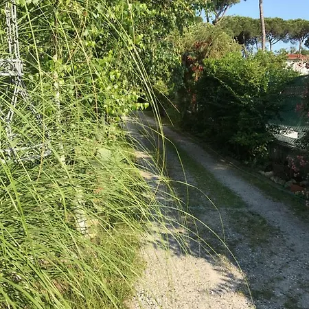 Ancora Bilocale Marina di Massa