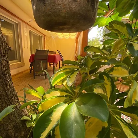 Ancora Apartments Hébergement de vacances